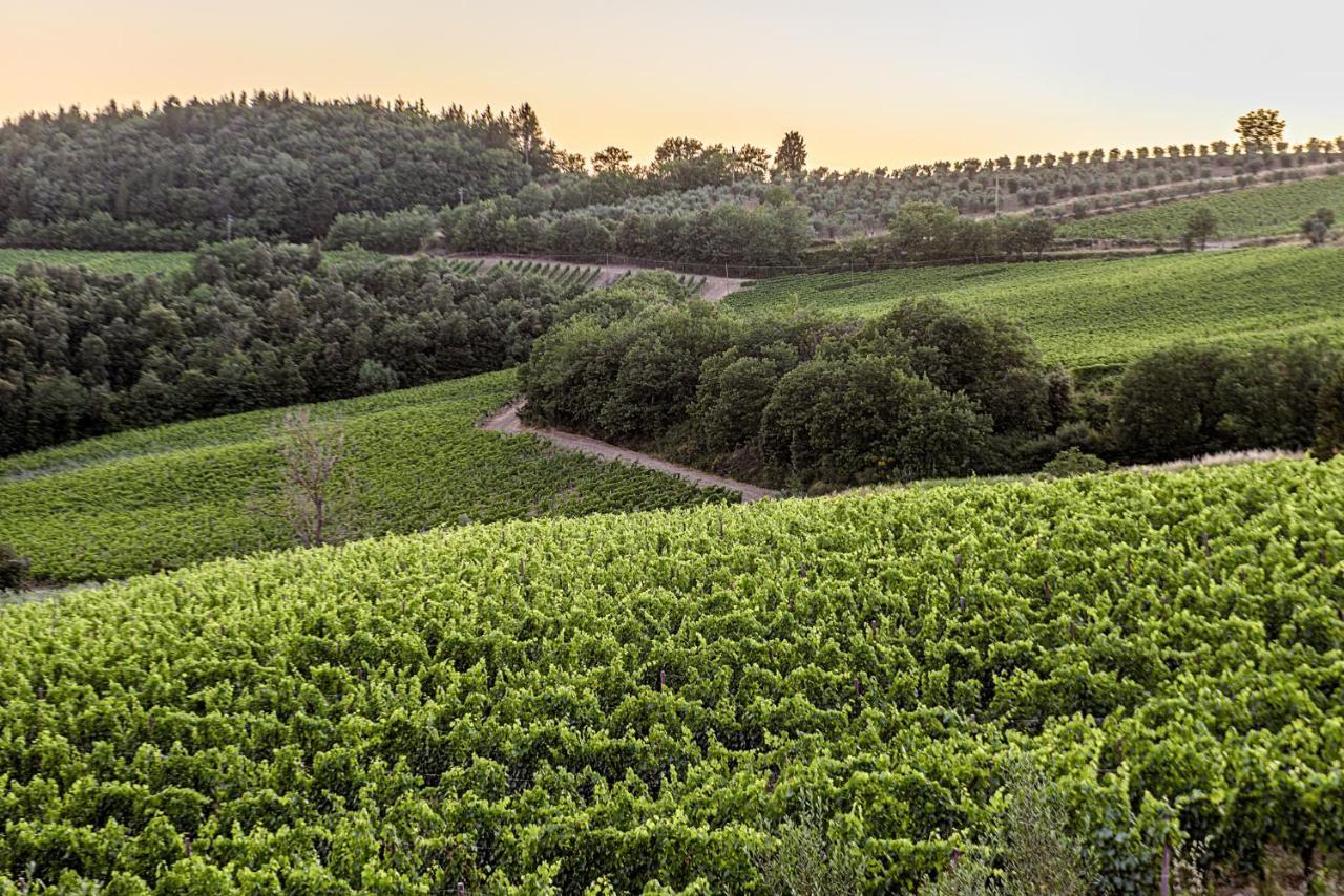 Agriturismo Concadoro Villa Castellina in Chianti Eksteriør billede