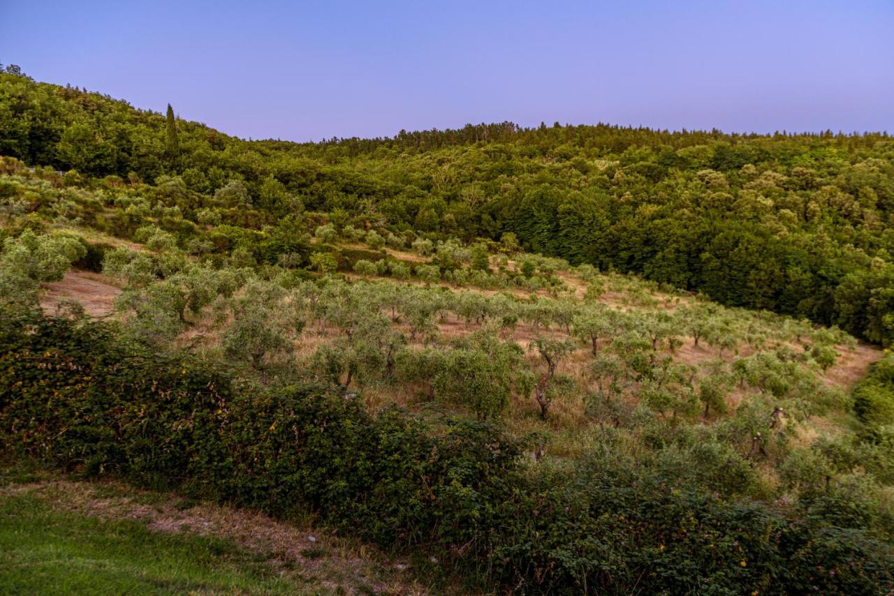 Agriturismo Concadoro Villa Castellina in Chianti Eksteriør billede