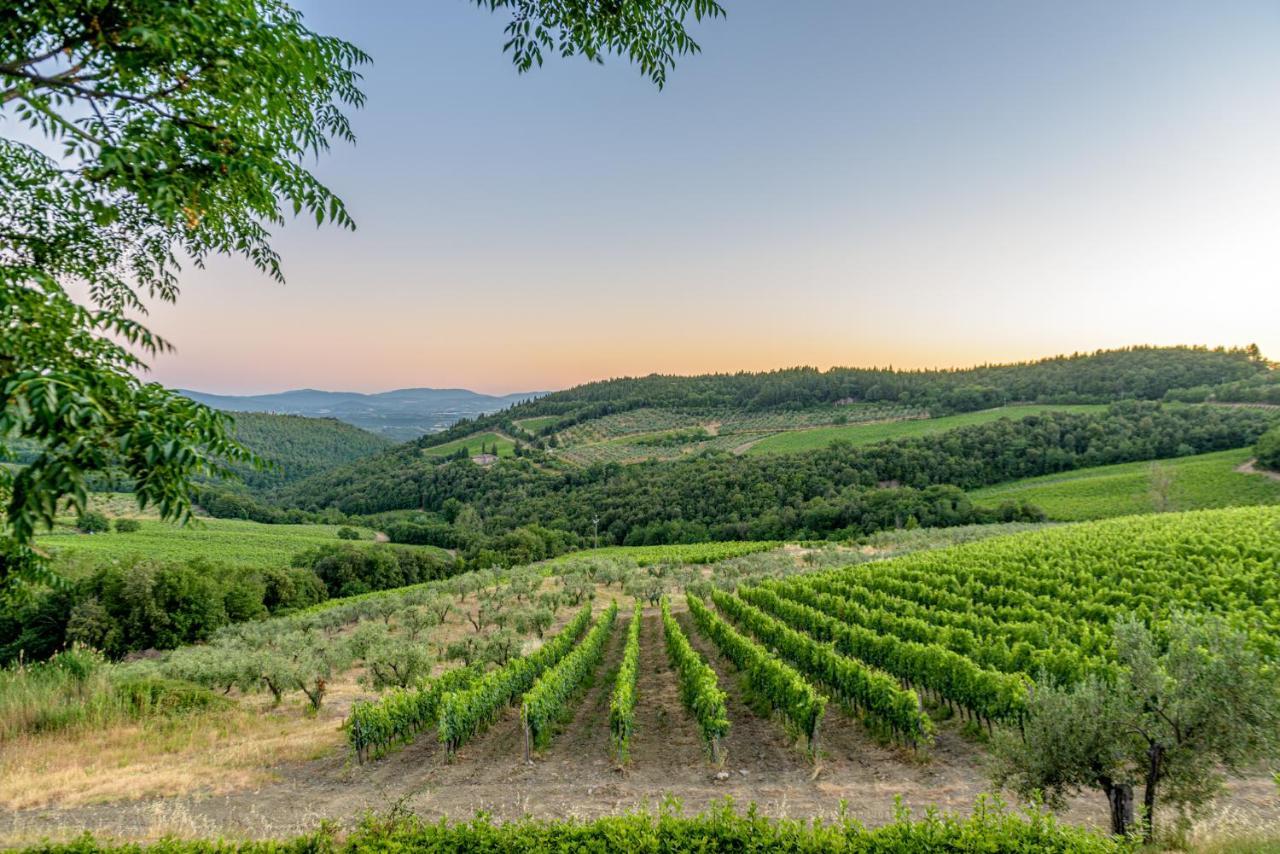 Agriturismo Concadoro Villa Castellina in Chianti Eksteriør billede