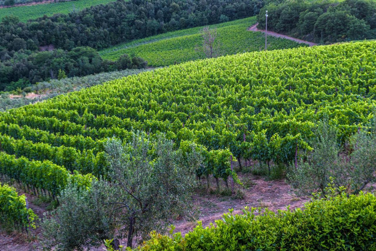 Agriturismo Concadoro Villa Castellina in Chianti Eksteriør billede